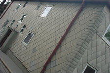 Spiegelgrund / Foto: Bauer TF_Spiegelgrund_Digi