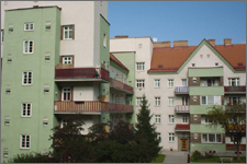 Foto: Bauer