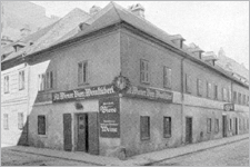 "Thurygrund" / Foto: Bezirksmuseum Alsergrund TF_Thurygrund_BM09
