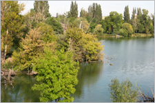 Wasserpark / Foto: Bauer Wasserpark_TF_Digi