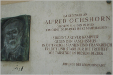 Foto: Bauer Ochshorn_Alfred_TF_Digi
