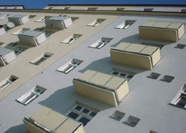 Anton_hoelzl_hof_head_digi