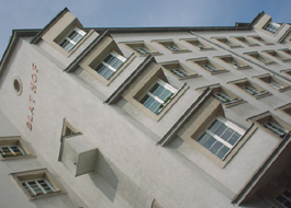 Head_blathof_digi