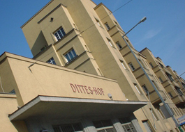 Head_ditteshof_digi