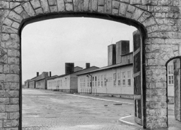 Head_kz_mauthausen_doew
