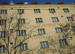 Janecekhof_head_digi