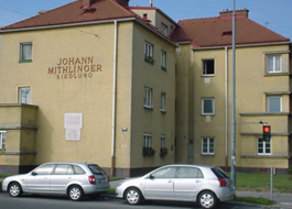 Johann_mithlinger_siedlung_head_digi