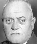 Pick_karl_head_vga6