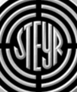 Steyr_head_werner