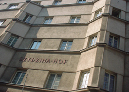 Szidzinahof_head_digi