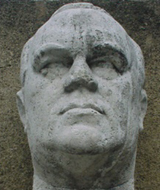 Wildgans_head_digi