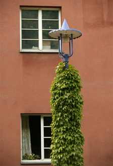 25_karl_marx_hof_wrwohnen_bausteine_stephan_huger