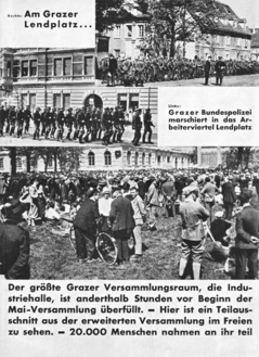 Kuckuck_12_wildeis_1