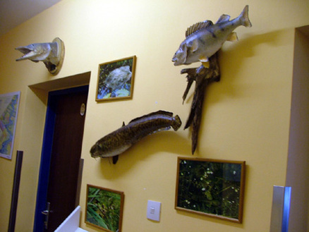 Museum_2_voeafv
