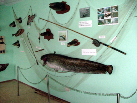Museum_3_voeafv