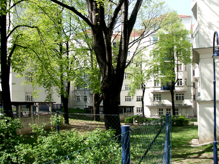 Pict0013